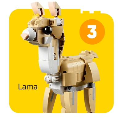 Lama