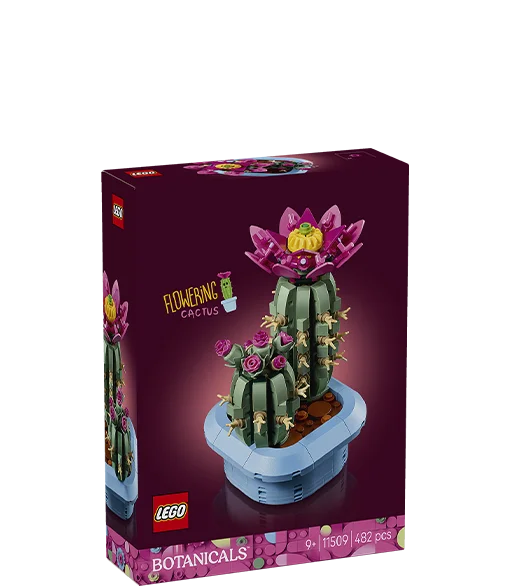 LEGO® Kwitnący kaktus
