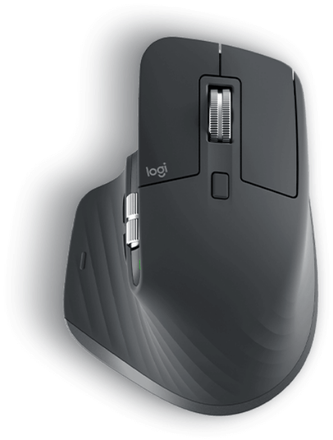 Image: main mouse