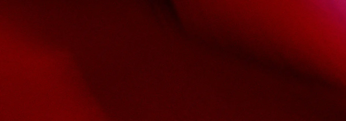 Niech zakwitnie
                                przyjaźń!