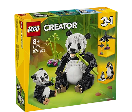 Dzikie zwierzęta: rodzina pand